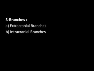 3-Branches :
a) Extracranial Branches
b) Intracranial Branches
 
