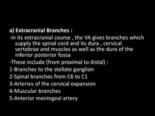 a) Extracranial Branches :
-In its extracranial course , the VA gives branches which
supply the spinal cord and its dura , cervical
vertebrae and muscles as well as the dura of the
inferior posterior fossa
-These include (from proximal to distal) :
1-Branches to the stellate ganglion
2-Spinal branches from C6 to C1
3-Arteries of the cervical expansion
4-Muscular branches
5-Anterior meningeal artery
 