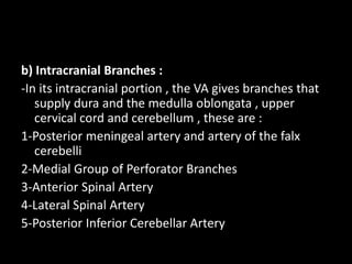 b) Intracranial Branches :
-In its intracranial portion , the VA gives branches that
supply dura and the medulla oblongata , upper
cervical cord and cerebellum , these are :
1-Posterior meningeal artery and artery of the falx
cerebelli
2-Medial Group of Perforator Branches
3-Anterior Spinal Artery
4-Lateral Spinal Artery
5-Posterior Inferior Cerebellar Artery
 