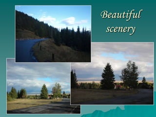 Beautiful
 scenery
 