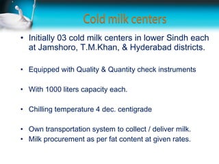 • Initially 03 cold milk centers in lower Sindh each
  at Jamshoro, T.M.Khan, & Hyderabad districts.

• Equipped with Quality & Quantity check instruments

• With 1000 liters capacity each.

• Chilling temperature 4 dec. centigrade

• Own transportation system to collect / deliver milk.
• Milk procurement as per fat content at given rates.
 
