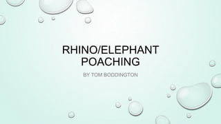RHINO/ELEPHANT
POACHING
BY TOM BODDINGTON

 