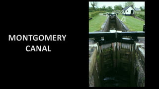 MONTGOMERY
CANAL
 