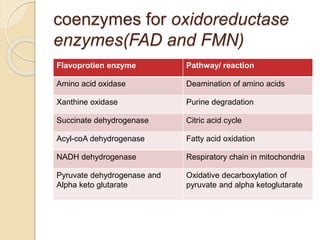 coenzymes for oxidoreductase
enzymes(FAD and FMN)
Flavoprotien enzyme Pathway/ reaction
Amino acid oxidase Deamination of amino acids
Xanthine oxidase Purine degradation
Succinate dehydrogenase Citric acid cycle
Acyl-coA dehydrogenase Fatty acid oxidation
NADH dehydrogenase Respiratory chain in mitochondria
Pyruvate dehydrogenase and
Alpha keto glutarate
Oxidative decarboxylation of
pyruvate and alpha ketoglutarate
 