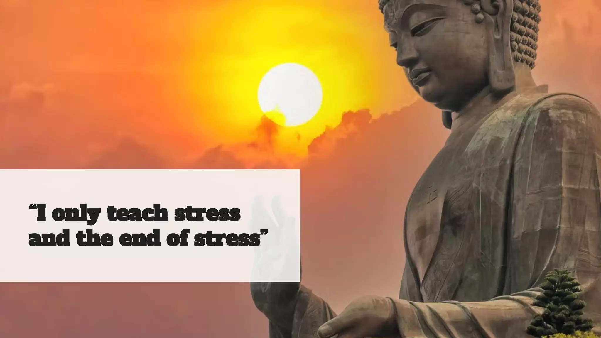 “I only teach stress
and the end of stress”
 