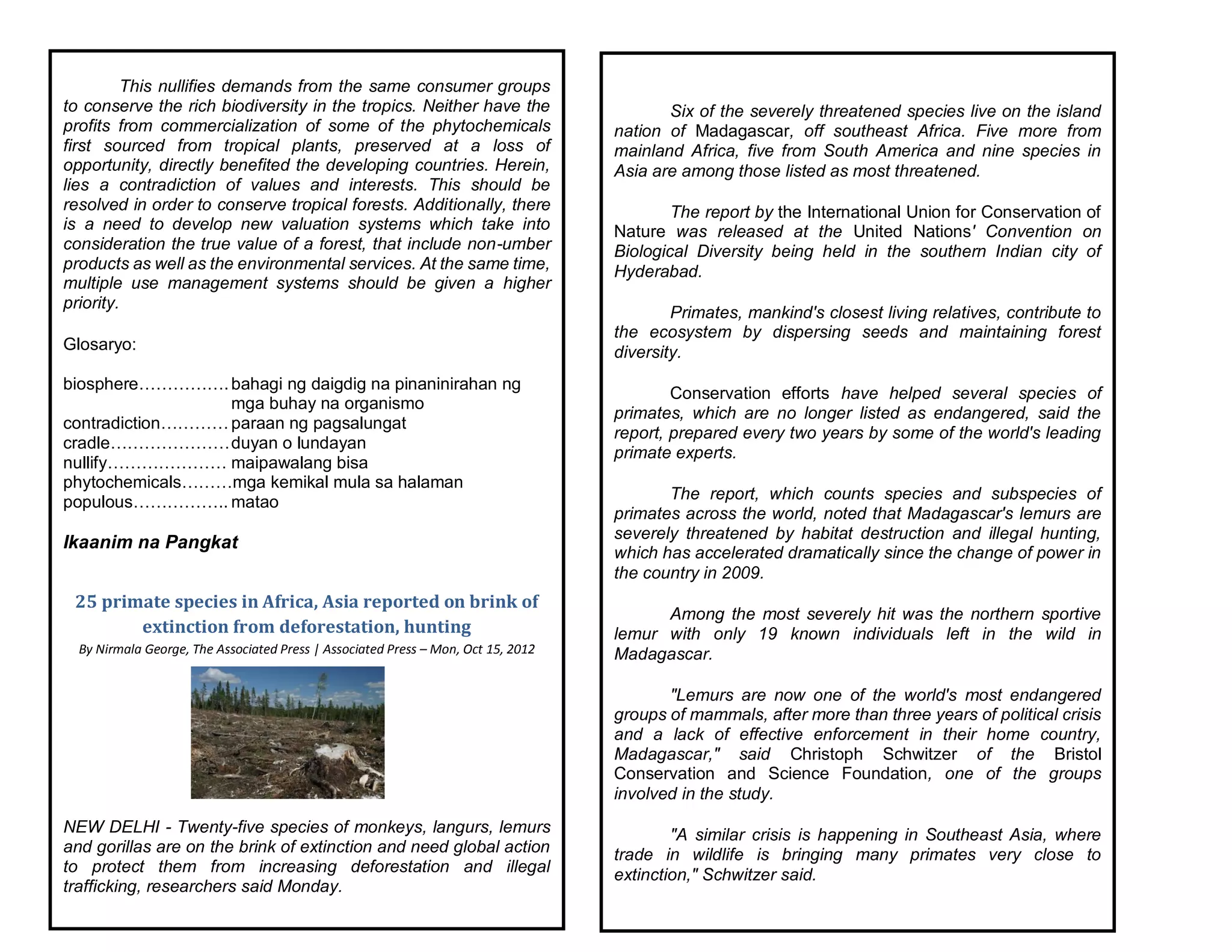 This nullifies demands from the same consumer groups
to conserve the rich biodiversity in the tropics. Neither have the
profits from commercialization of some of the phytochemicals
first sourced from tropical plants, preserved at a loss of
opportunity, directly benefited the developing countries. Herein,
lies a contradiction of values and interests. This should be
resolved in order to conserve tropical forests. Additionally, there
is a need to develop new valuation systems which take into
consideration the true value of a forest, that include non-umber
products as well as the environmental services. At the same time,
multiple use management systems should be given a higher
priority.
Glosaryo:
biosphere…………….bahagi ng daigdig na pinaninirahan ng
mga buhay na organismo
contradiction…………paraan ng pagsalungat
cradle…………………duyan o lundayan
nullify………………… maipawalang bisa
phytochemicals………mga kemikal mula sa halaman
populous…………….. matao
Ikaanim na Pangkat
25 primate species in Africa, Asia reported on brink of
extinction from deforestation, hunting
By Nirmala George, The Associated Press | Associated Press – Mon, Oct 15, 2012
NEW DELHI - Twenty-five species of monkeys, langurs, lemurs
and gorillas are on the brink of extinction and need global action
to protect them from increasing deforestation and illegal
trafficking, researchers said Monday.
Six of the severely threatened species live on the island
nation of Madagascar, off southeast Africa. Five more from
mainland Africa, five from South America and nine species in
Asia are among those listed as most threatened.
The report by the International Union for Conservation of
Nature was released at the United Nations' Convention on
Biological Diversity being held in the southern Indian city of
Hyderabad.
Primates, mankind's closest living relatives, contribute to
the ecosystem by dispersing seeds and maintaining forest
diversity.
Conservation efforts have helped several species of
primates, which are no longer listed as endangered, said the
report, prepared every two years by some of the world's leading
primate experts.
The report, which counts species and subspecies of
primates across the world, noted that Madagascar's lemurs are
severely threatened by habitat destruction and illegal hunting,
which has accelerated dramatically since the change of power in
the country in 2009.
Among the most severely hit was the northern sportive
lemur with only 19 known individuals left in the wild in
Madagascar.
"Lemurs are now one of the world's most endangered
groups of mammals, after more than three years of political crisis
and a lack of effective enforcement in their home country,
Madagascar," said Christoph Schwitzer of the Bristol
Conservation and Science Foundation, one of the groups
involved in the study.
"A similar crisis is happening in Southeast Asia, where
trade in wildlife is bringing many primates very close to
extinction," Schwitzer said.
 