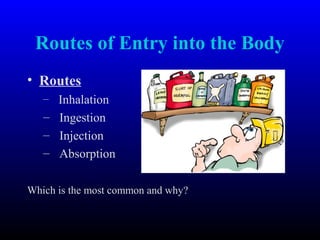 Routes of Entry into the Body
• Routes
– Inhalation
– Ingestion
– Injection
– Absorption
Which is the most common and why?
 