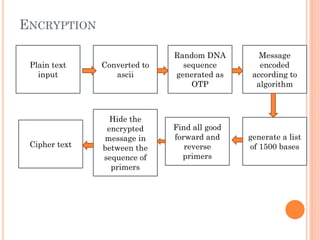 DNA secret writing project first review | PPTX