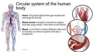 Circular system of the human
body
Heart: to function blood through vessels and
exchange O2 & CO2
Blood vessels: transport nutrients to organs
and take away wastes from them in the blood
Blood :a rich fluid in which different cells exist
to function as immune system and also a
transporter
2/20/2024 4
 