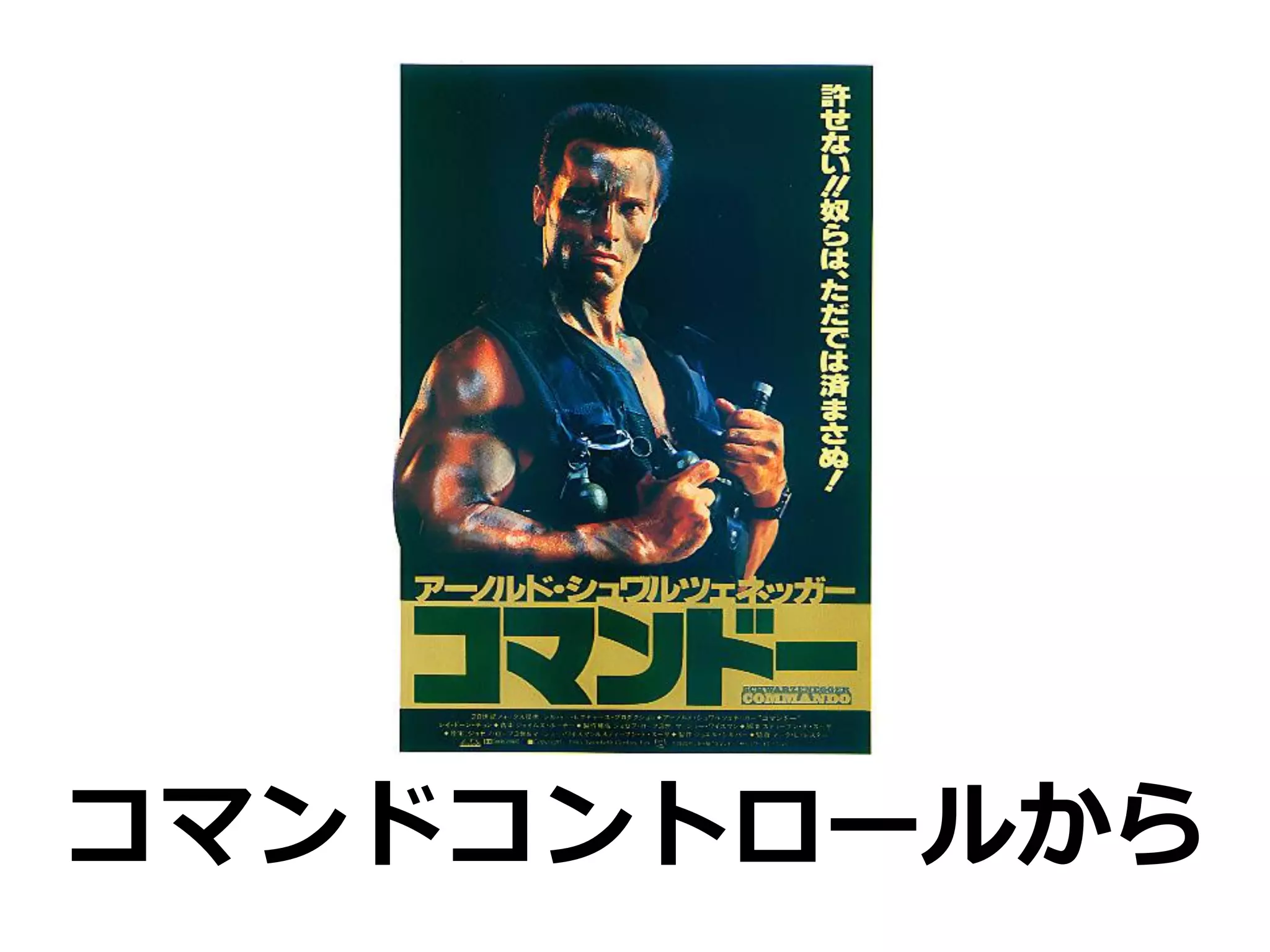 コマンドコントロールから
 