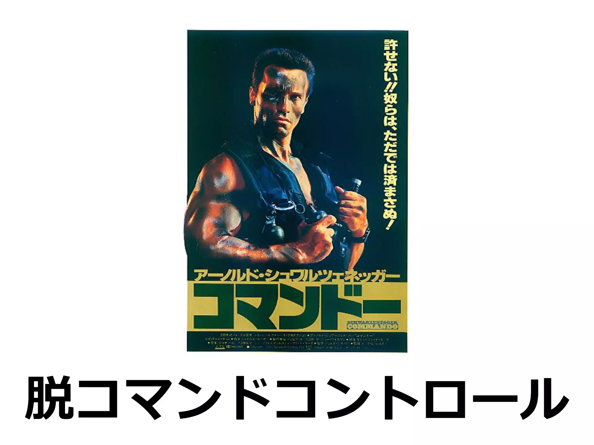 脱コマンドコントロール
 