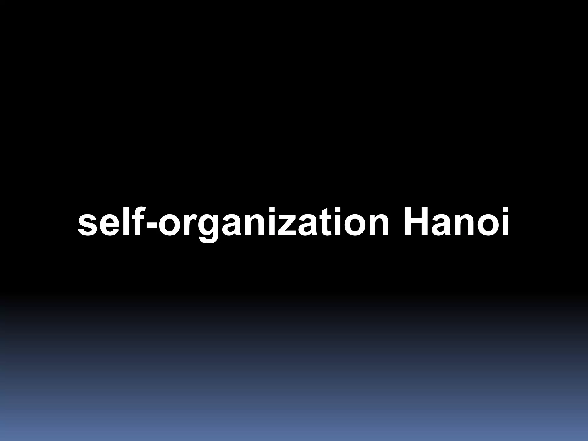 self-organization Hanoi
 