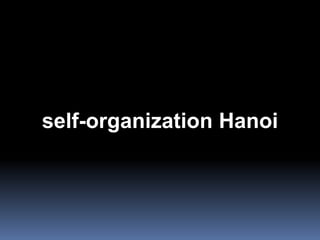 self-organization Hanoi
 