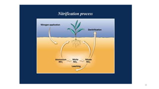 Effect of chemical composition of crop residues on nitrogen ...