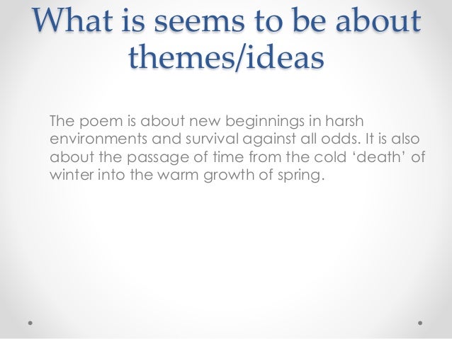 First Sight Philip Larkin