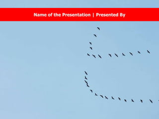 FirstSlider - Nature Powerpoint Template | PPT