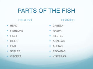 PARTS OF THE FISH
          ENGLISH          SPANISH
 HEAD               CABEZA
 FISHBONE           RASPA
 FILET              FILETES
 GILLS              AGALLAS
 FINS               ALETAS
 SCALES             ESCAMAS
 VISCERA            VISCERAS
 