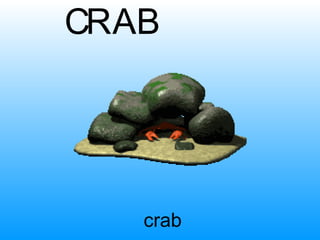 crab C R A B 