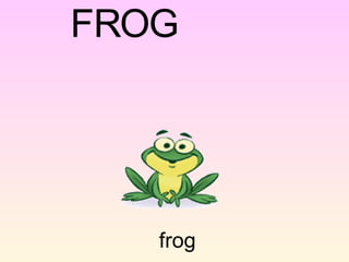 frog F R O G 