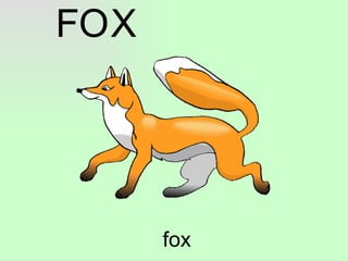 fox F O X 