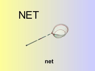 net N E T 