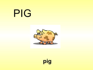 pig P I G 