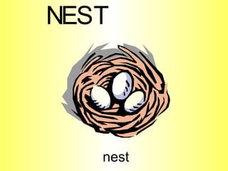 nest N E S T 