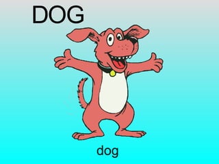 dog D O G 