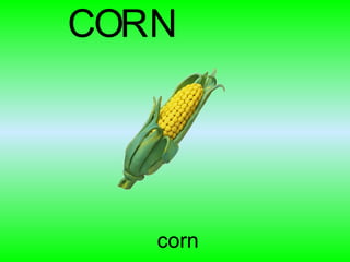 corn C O R N 