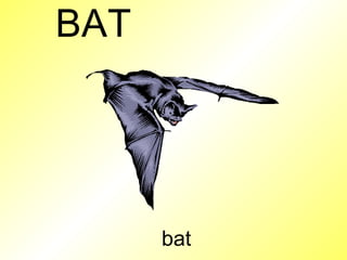 bat B A T 
