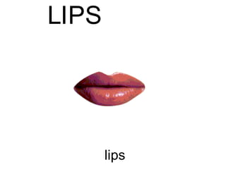 lips L I P S 