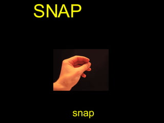 snap S N A P 