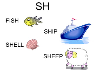 SH SHIP FISH SHELL   SHEEP  