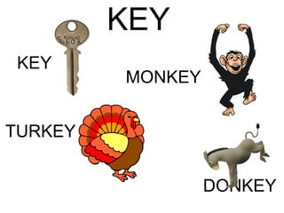 KEY MONKEY KEY   TURKEY    DONKEY  