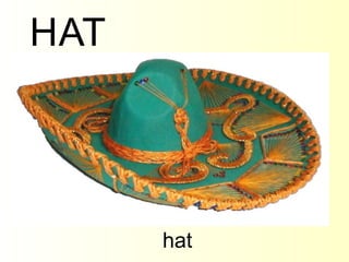 hat H A T 