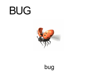 bug B U G 