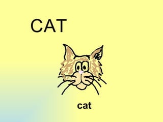 cat C A T 