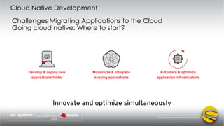 Using cloud native development to achieve digital transformation | PDF