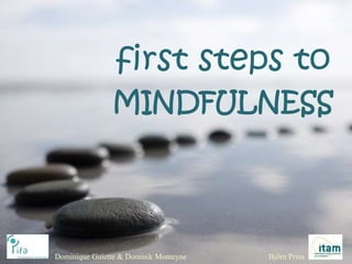 first steps to
MINDFULNESS
Dominique Guiette & Dominik Monteyne Björn Prins
 