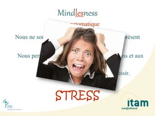Pilote automatique
Nous ne sommes pas conscients du moment présent
avec toutes ses possibilités.
Nous permettons à nos pensées, nos émotions et aux
événements
de nous dominer,
nous ne sommes pas libres de choisir.
STRESS
Mindlesness
 