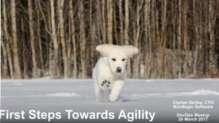 First Steps Towards Agility
Ciprian Sorlea, CTO
Nordlogic Software
DevOps Meetup
29 March 2017
 