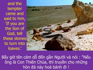 Bấy giờ tên cám dỗ đến gần Người và nói : "Nếu
ông là Con Thiên Chúa, thì truyền cho những
hòn đá này hoá bánh đi !
and the
tempter
came and
said to him,
‘If you are
the Son of
God, tell
these stones
to turn into
loaves.’
 