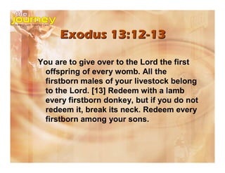Exodus 13:12-13

You are to give over to the Lord the first
 offspring of every womb. All the
 firstborn males of your livestock belong
 to the Lord. [13] Redeem with a lamb
 every firstborn donkey, but if you do not
 redeem it, break its neck. Redeem every
 firstborn among your sons.
 