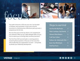 First Time CEO | PDF