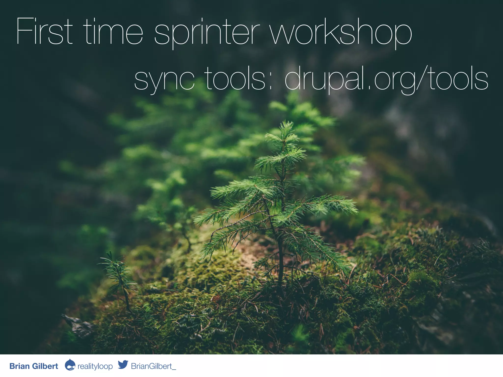 Brian Gilbert Ə realityloop BrianGilbert_
First time sprinter workshop
sync tools: drupal.org/tools
 