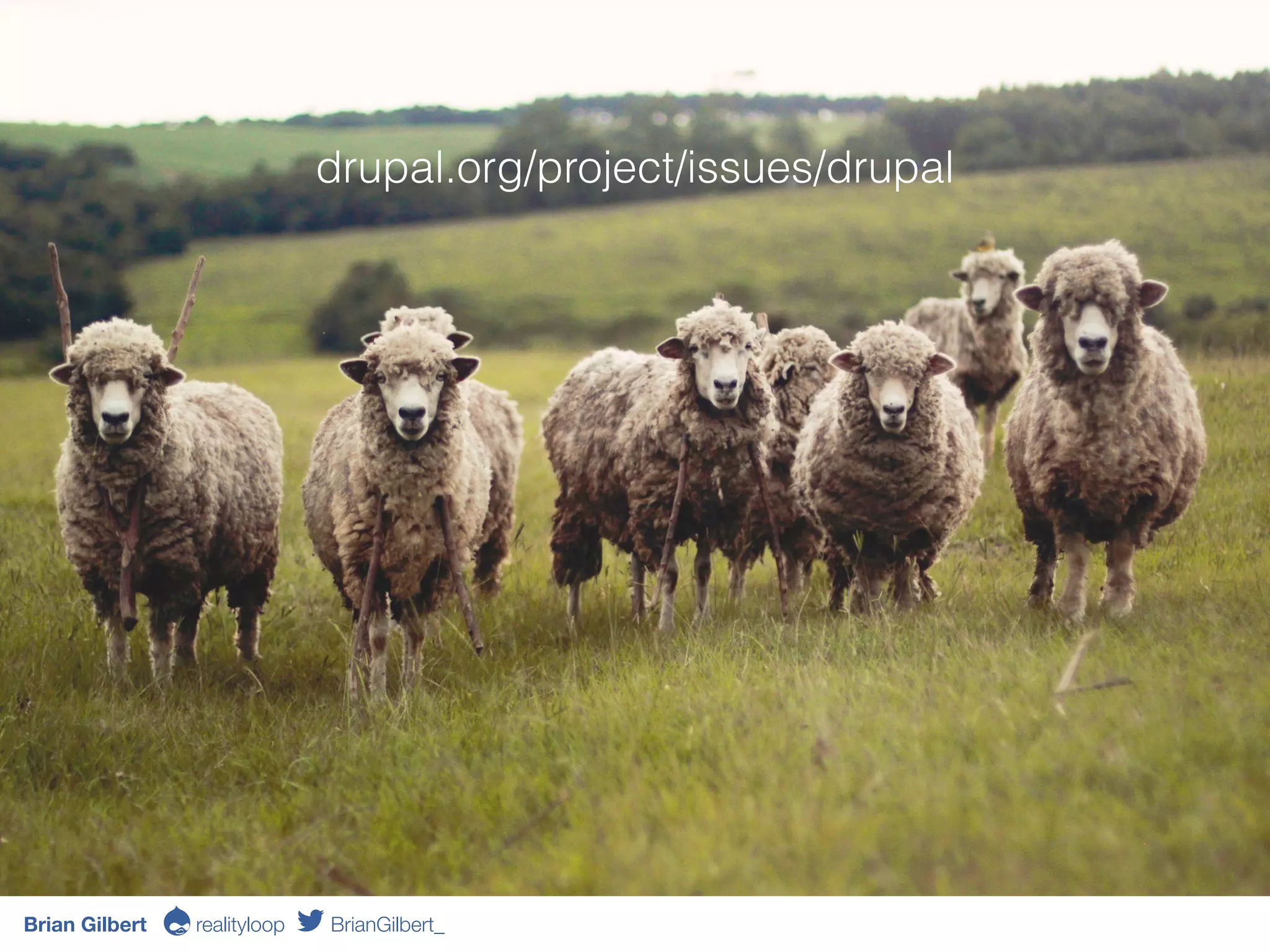 drupal.org/project/issues/drupal
Brian Gilbert Ə realityloop BrianGilbert_
 