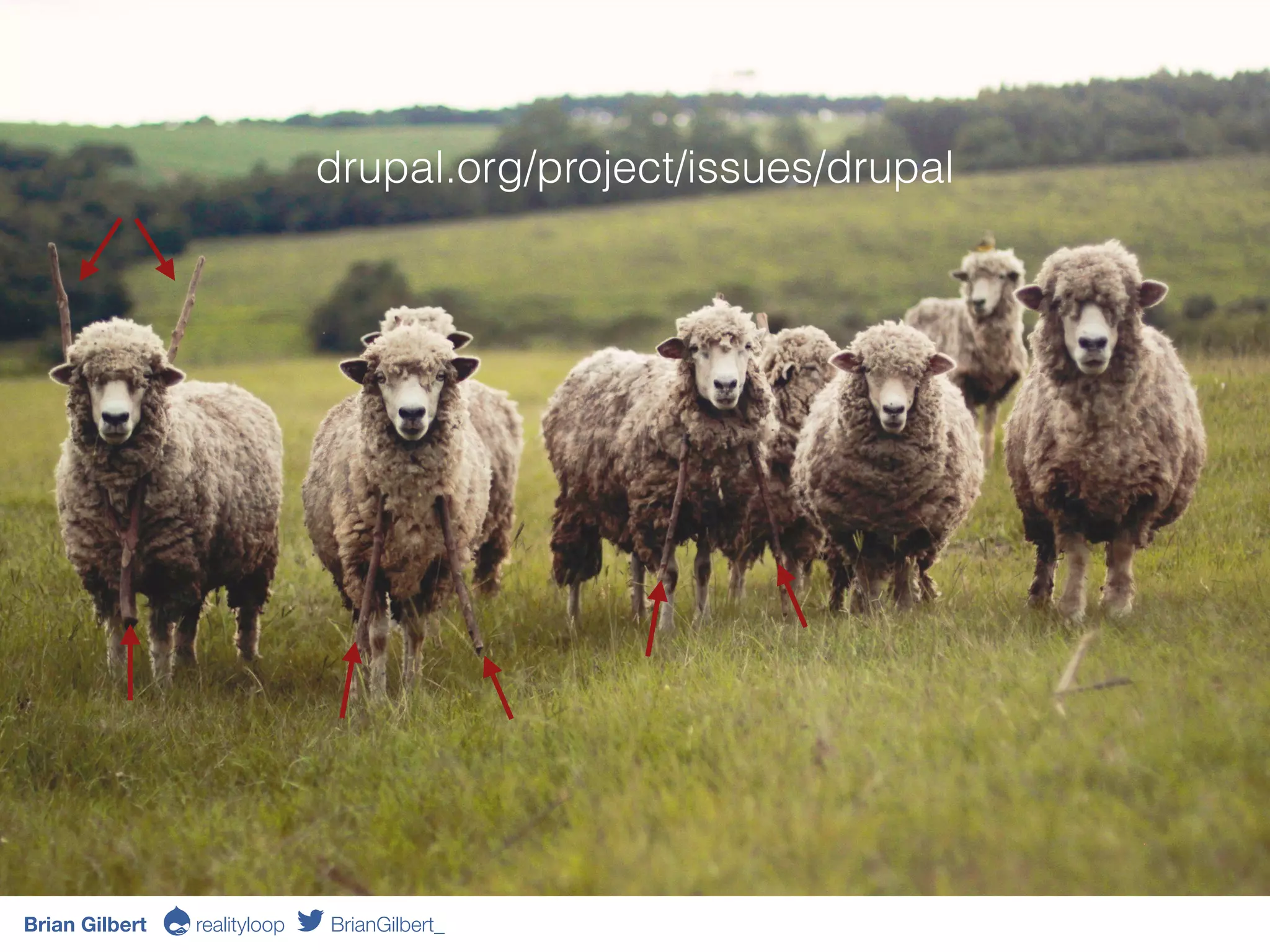 drupal.org/project/issues/drupal
Brian Gilbert Ə realityloop BrianGilbert_
 