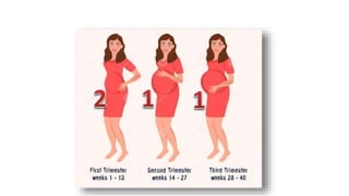 First trimester screening for fetal abnormalities | PPTX