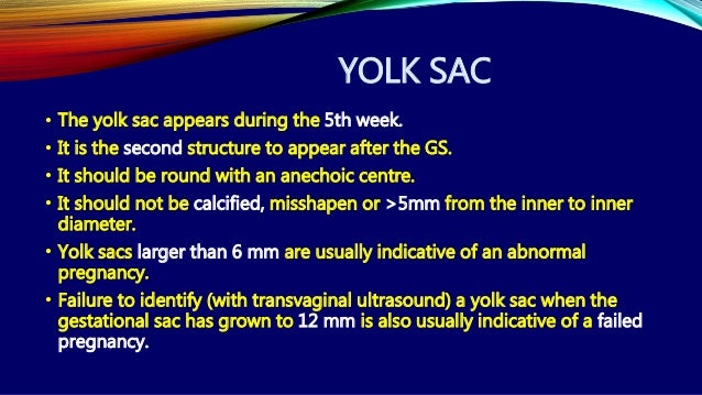 What is the function of the yolk sac?