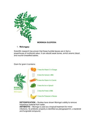 MORINGA OLEIFERA

   1. Malunggay

Scientific research has proven that these humble leaves are in fact a
powerhouse of nutritional value. It can rebuild weak bones, enrich anemic blood
and nourish breastfed babies.



Gram for gram it contains:




      DETOXIFICATION – Studies have shown Moringa’s ability to remove
      hazardous material from water.
      ANTIBIOTIC – Moringa is used as a tropical treatment for minor
      infections. Its antibiotic property is identified as pterygospermin, a bacterial
      and fungicidal compound.
 